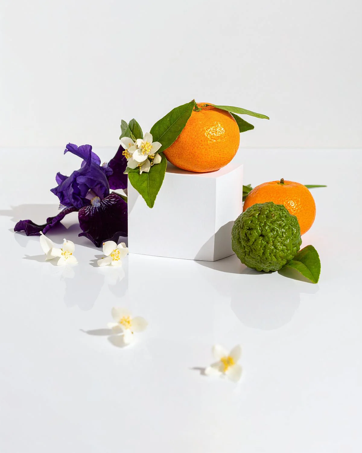 Miniature 2