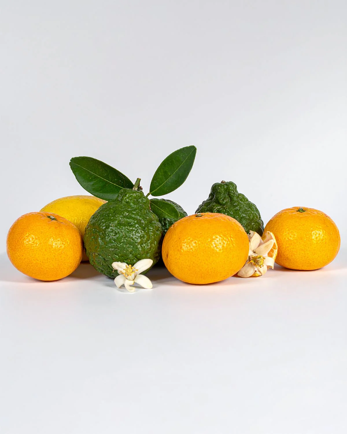 Miniature 2