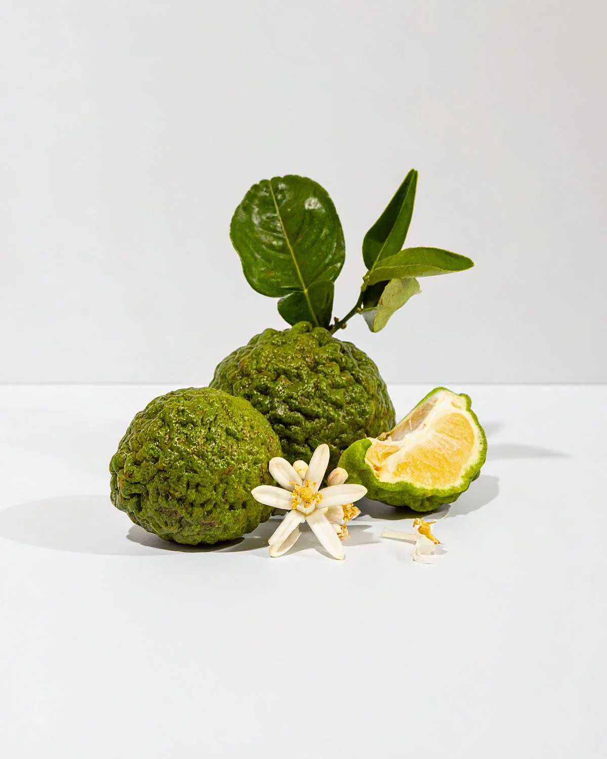 Miniature 2