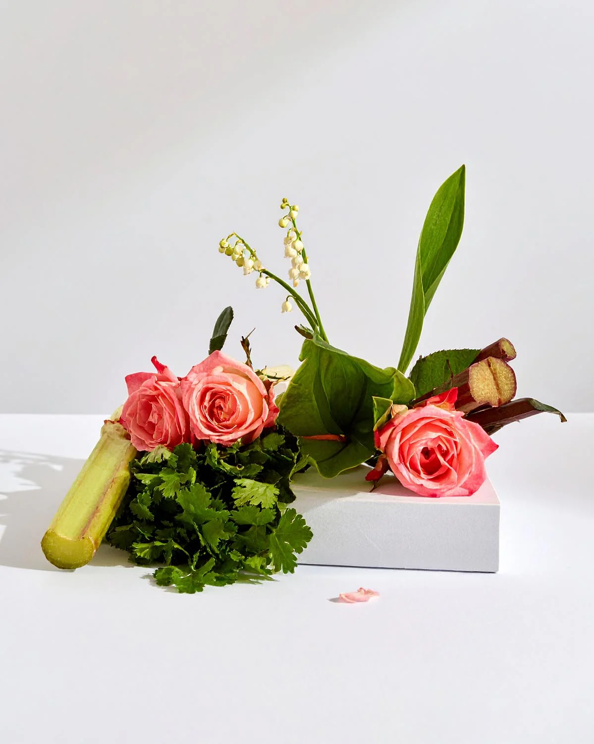 Miniature 2