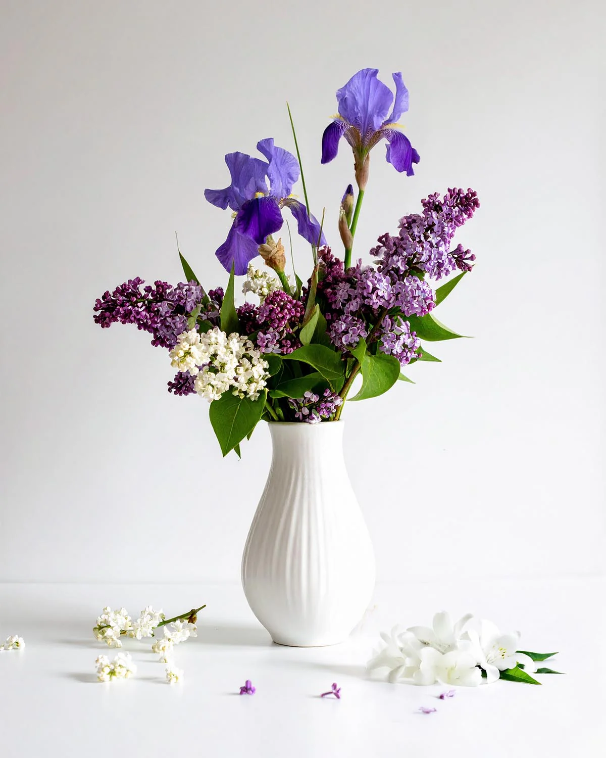 Miniature 2